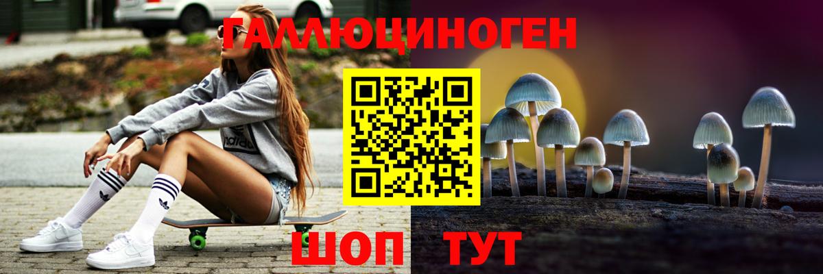 Галлюциногенные грибы Psilocybine cubensis Дедовск